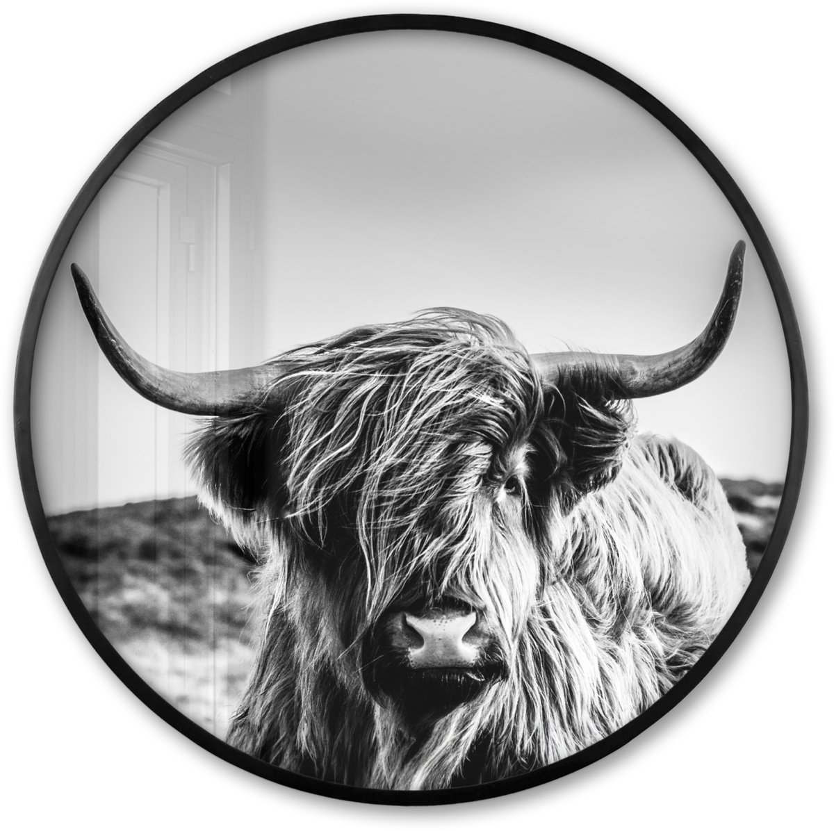 FrameYourWall Poster in lijst Rond - Fotolijst 80x80 cm - Posters - Koe - Schotse hooglander - Zwart - Wit - Dier - Natuur - Wild - Ronde posterlijst zwart - Decoratie - Wanddecoratie woonkamer - Muurdecoratie slaapkamer