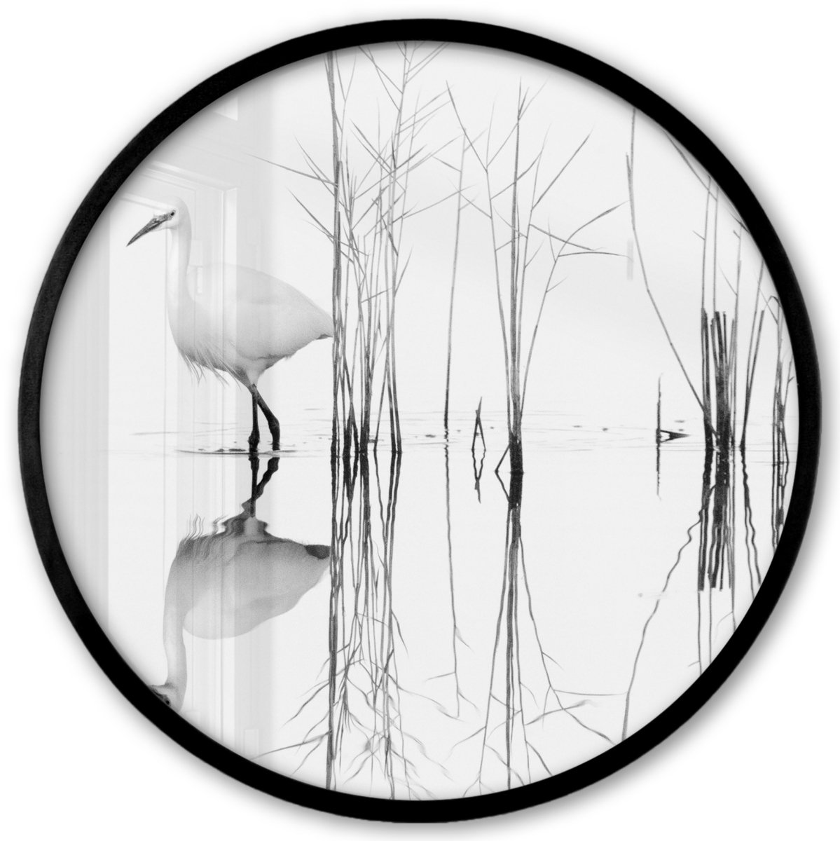 FrameYourWall Poster in lijst Rond - Fotolijst 40x40 cm - Posters - Vogel - Water - Planten - Natuur - Ronde posterlijst zwart - Decoratie - Wanddecoratie woonkamer - Muurdecoratie slaapkamer