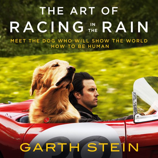 The Art of Racing in the Rain - cover