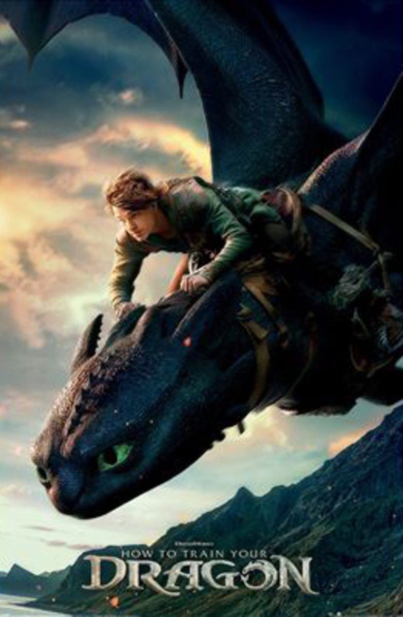 Pyramid Poster How To Train Your Dragon - Live Action 61x91,5cm Divers