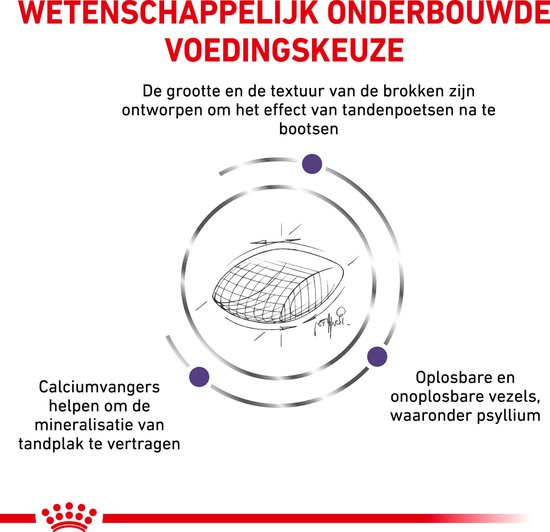 Royal Canin Expert Dental - Kattenvoer - 3 kg