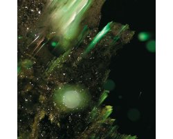 Abraham - Idsungwussa (CD)