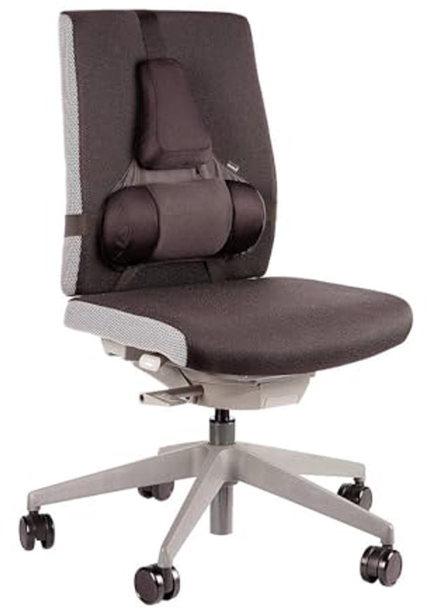 Professionele rugsteun met traagschuim voor optimaal comfort
