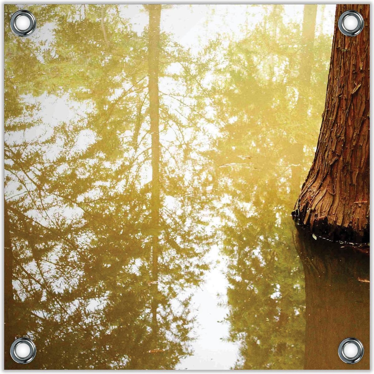 Tuinposter –Boomstam in het Water– 50x50 Foto op Tuinposter (wanddecoratie voor buiten en