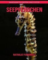 Seepferdchen