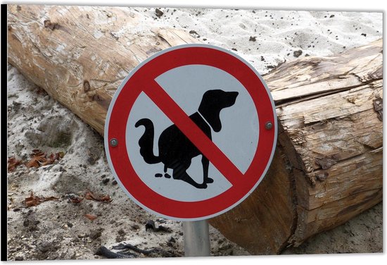 Wonderbaarlijk Spaans Communicatie netwerk Dibond –Bord met Verboden Te Poepen voor Honden– 40x30 Foto op Aluminium...  | bol.com