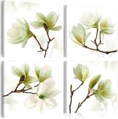 Schilderijen Op Canvas - Schilderij - Admiration of Magnolia 90x90 - Artgeist Schilderij