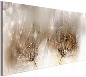 Schilderijen Op Canvas - Schilderij - Drops of Dew (1 Part) Brown Narrow 135x45 - Artgeist Schilderij