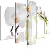 Schilderijen Op Canvas - Schilderij - Wonderful Orchid (5 Parts) Wide 100x50 - Artgeist Schilderij