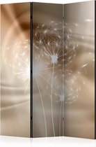 Kamerscherm - Scheidingswand - Vouwscherm - Solar Illusion [Room Dividers] 135x172 - Artgeist Vouwscherm