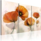 Schilderijen Op Canvas - Schilderij - Artistic poppies - triptych 90x60 - Artgeist Schilderij