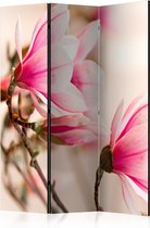 Kamerscherm - Scheidingswand - Vouwscherm - Branch of magnolia tree [Room Dividers] 135x172 - Artgeist Vouwscherm