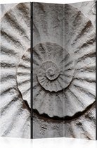 Kamerscherm - Scheidingswand - Vouwscherm - Shell [Room Dividers] 135x172 - Artgeist Vouwscherm