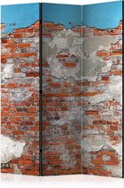 Kamerscherm - Scheidingswand - Vouwscherm - Secrets of the Wall [Room Dividers] 135x172 - Artgeist Vouwscherm