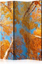Kamerscherm - Scheidingswand - Vouwscherm - Autumnal treetops [Room Dividers] 135x172 - Artgeist Vouwscherm