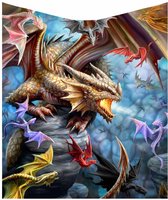 Nemesis Now Plaid Dragon Clan Multicolours