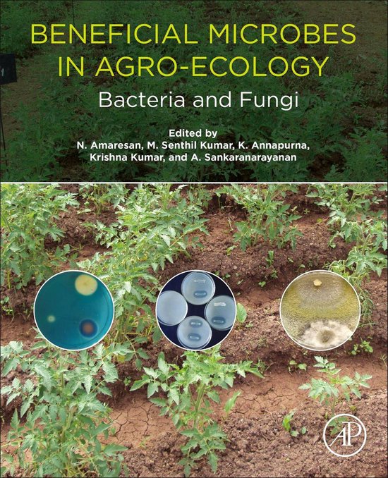Beneficial Microbes in Agro-Ecology - cover
