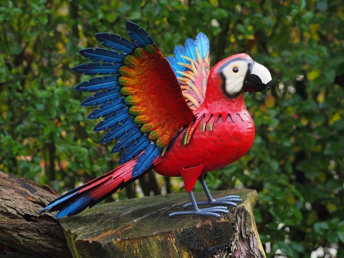 Tuinbeeld - Papegaai - 38 cm hoog