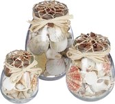 Relaxdays 3x schelpen decoratie - potten met schelpen - schelpen mix - schelpen in pot