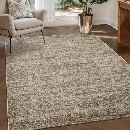 Relax Oslo - Tapis uni à poils ras - Tapis moderne - Beige - 350x450 CM