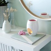 Bolsius - True Scents - Wax melts - 6 stuks per verpakking - Magnolia