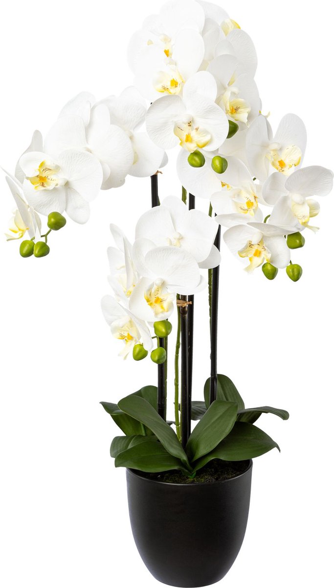 Kopu Kunstbloem Orchidee 69 cm Wit met zwarte Pot - Phalenopsis