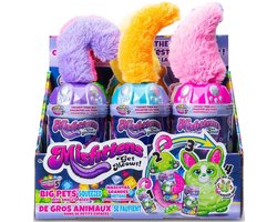 foto van MISFITTENS - CATS: het liefst diamond of ruby of goldie