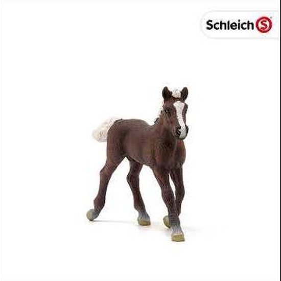 Schleich Etalon arabe | Jouets Schleich | Wahl Agriculture
