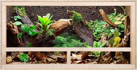 REPITERRA® Terrarium reptielenamfibieën zijventilatie 80x50x50 cm