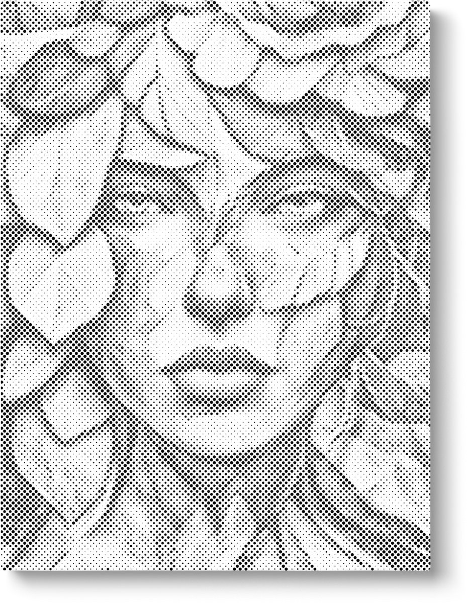 Botanische Vrouw | Dot painting | 30x40cm | Dot painting | Oh My Dotz | Dots stippen | Diamond painting & Schilderen op nummer alternatief | Happy hobby