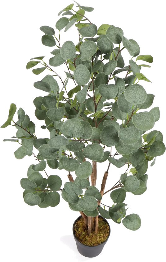 Art Eucalyptus Koala | 120cm - Faux eucalyptus - Plantes artificielles pour l'intérieur - Plante d'eucalyptus artificielle