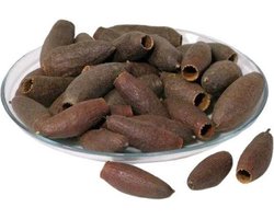 Savu Pod | Jequitiba 6-9 cm | natuurlijke tanninebron en schuilplek