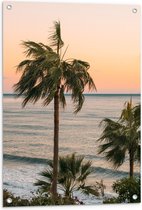 WallClassics - Tuinposter – Hoge Palmbomen bij Zee - 60x80 cm Foto op Tuinposter  (wanddecoratie voor buiten en binnen)