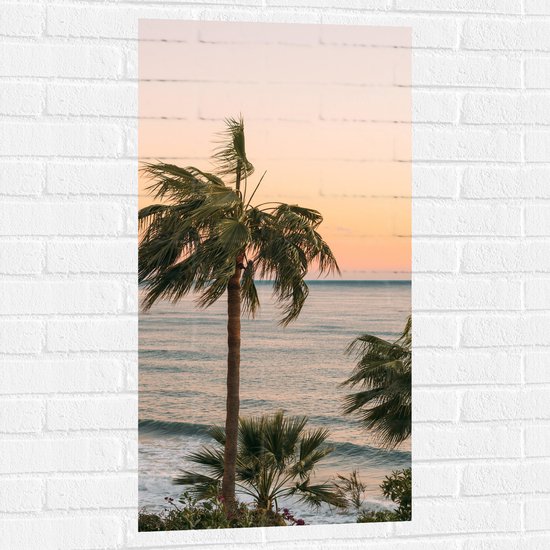 WallClassics - Muursticker - Hoge Palmbomen bij Zee - 50x100 cm Foto op Muursticker