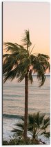 WallClassics - Dibond - Hoge Palmbomen bij Zee - 30x90 cm Foto op Aluminium (Met Ophangsysteem)