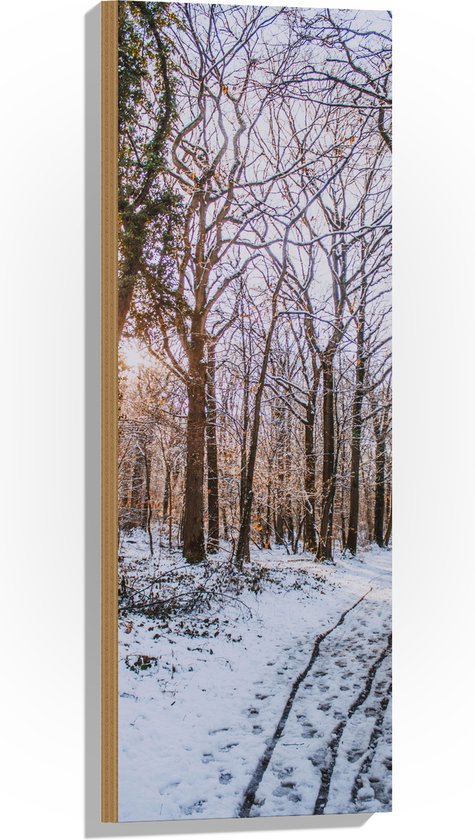 WallClassics - Hout - Kale Bomen in Bos tijdens Winter - 30x90 cm - 12 mm dik - Foto op Hout (Met Ophangsysteem)