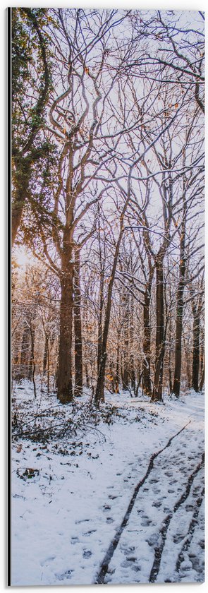 WallClassics - Dibond - Kale Bomen in Bos tijdens Winter - 20x60 cm Foto op Aluminium (Wanddecoratie van metaal)