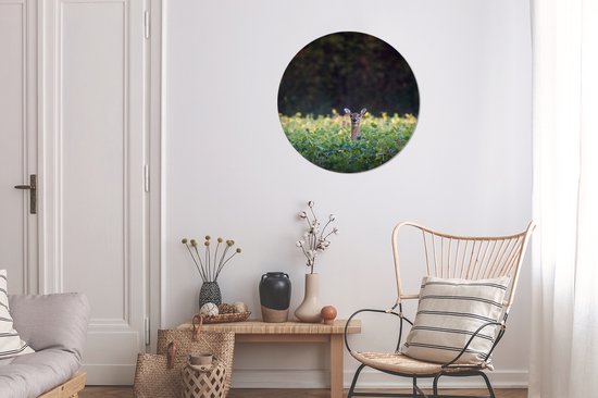 WallCircle - Cercle mural - Cercle mural - Cerfs - Plantes - Forêt - Aluminium - Dibond - ⌀ 60 cm - Intérieur et Extérieur