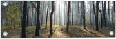 WallClassics - Tuinposter – Kronkelende Bomen - 60x20 cm Foto op Tuinposter  (wanddecoratie voor buiten en binnen)