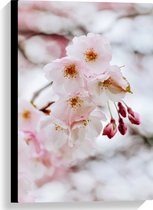 WallClassics - Toile - Brindille Fleur Rose Clair - 40x60 cm Tableau sur Toile Peinture (Décoration murale sur Toile)