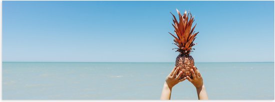 WallClassics - Poster (Mat) - Ananas boven de Zee - 90x30 cm Foto op Posterpapier met een Matte look