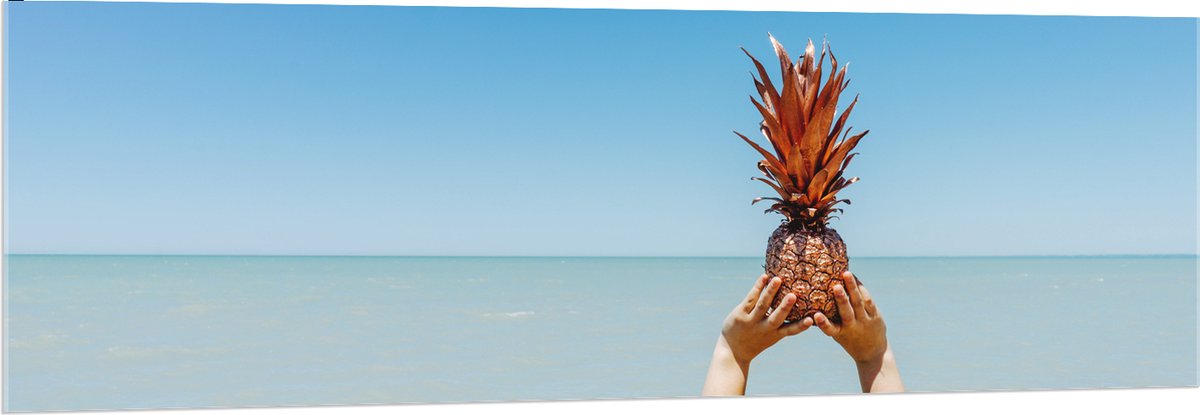 Acrylglas - Ananas boven de Zee - 150x50 cm Foto op Acrylglas (Met Ophangsysteem)