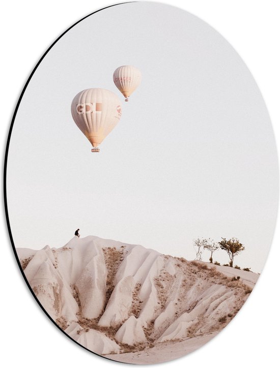 WallClassics - Dibond Ovaal - Twee Beige Luchtballonnen boven Beige Landschap - 30x40 cm Foto op Ovaal (Met Ophangsysteem)