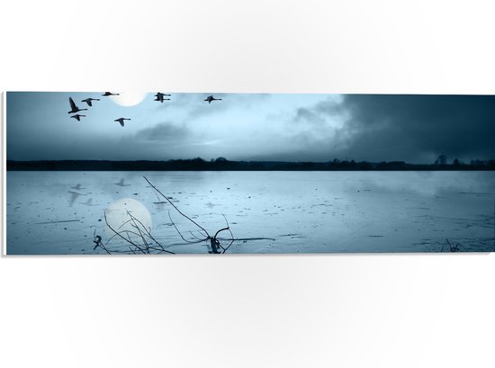 WallClassics - PVC Schuimplaat - Afgebroken takken van de Storm in het Water - 60x20 cm Foto op PVC Schuimplaat (Met Ophangsysteem)