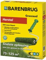 Pelouse de récupération de graines de gazon Barenbrug SOS Lawn Repair enduit - 2kg pour 100m²