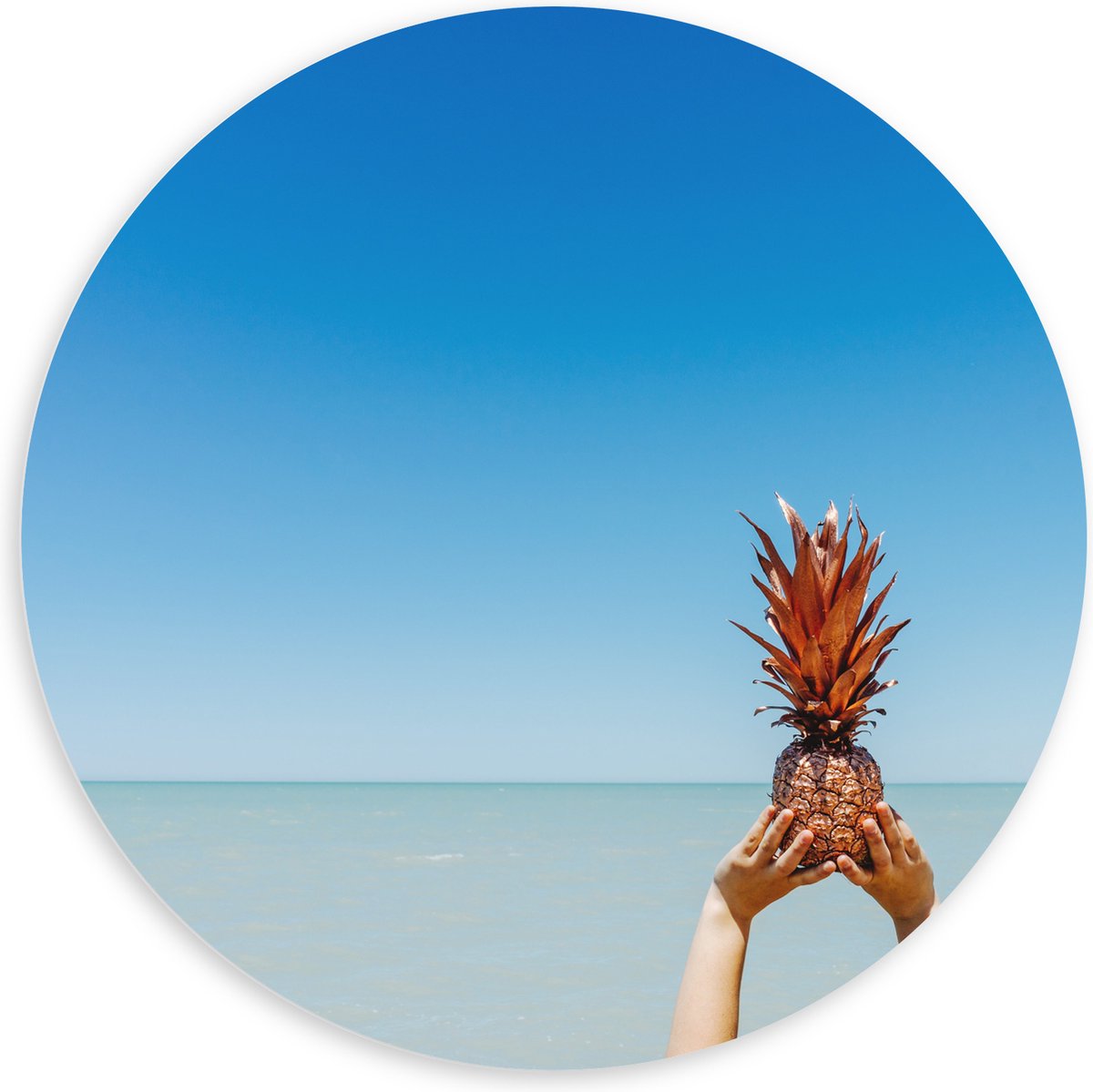 PVC Schuimplaat Muurcirkel - Ananas boven de Zee - 100x100 cm Foto op Muurcirkel (met ophangsysteem)