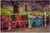 WallClassics - Poster (Mat) - Rood/Blauwe Fietsen met Bloemen Gevuld - 60x40 cm Foto op Posterpapier met een Matte look