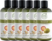 PETAL FRESH - Shampoo Grape Seed & Olive Oil - 6 Pak - Voordeelverpakking