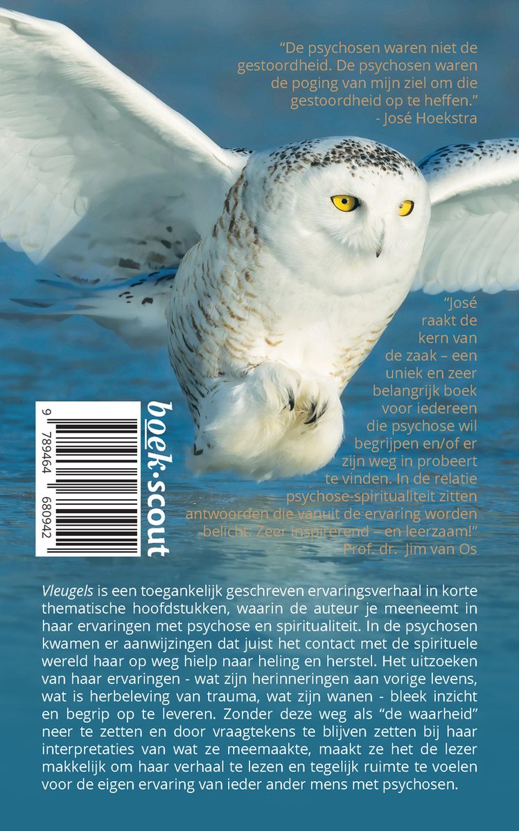 Vleugels - back cover