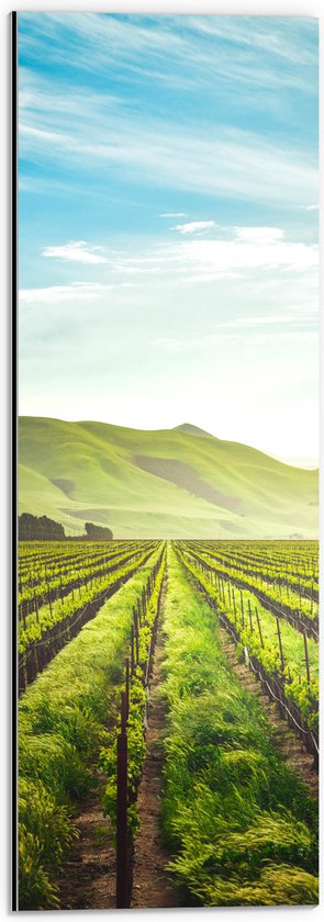 WallClassics - Dibond - Landbouwgrond onder Kleine Wolken - 20x60 cm Foto op Aluminium (Met Ophangsysteem)